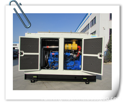 biomass power generation unit