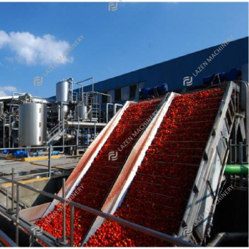 Usine de transformation de la pâte de tomate clé en main
