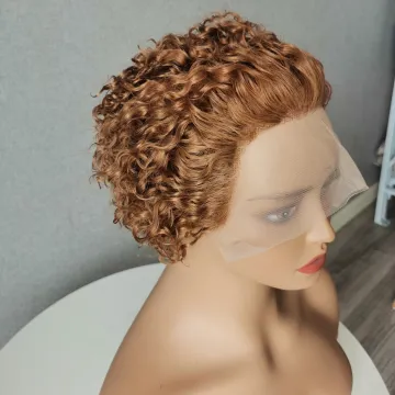 Pixie Cut Wig Short Curly Human Hair Wigs, Cheap Human Hair Wig, 13X1 Transparent Lace Wig For Women Human Hair Pre Plucked