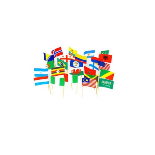 High Quality customized printing wooden toothpick flag