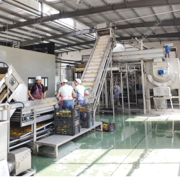 Factory Price Fruit Juice Making Machine: Pineapple Juicer & Orange Lemon Juicer Production Line