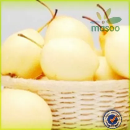 Golden Pear,Huang Jin Pear,Fresh Pear, High Quality Huangjin Pear,Golden Pear,Fresh Pear