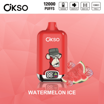 OKSO Digital 12000 Puffs Disposables Vape Box Netherlands