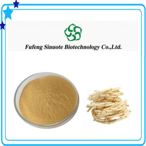 Natural Fish Mint Extract Powder