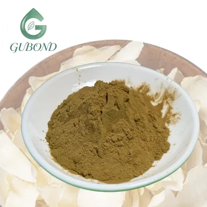 Lily Extract Powder for Dietary Supplements