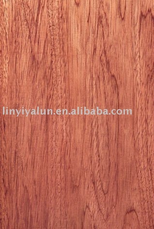 Red Meranti Plywood