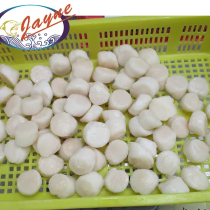Nutrition Tasty Quick Frozen Sashimi Sea Shellfish Scallop Meat