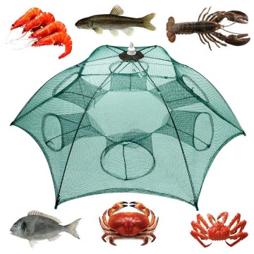 6 Holes umbrella fishing trap
