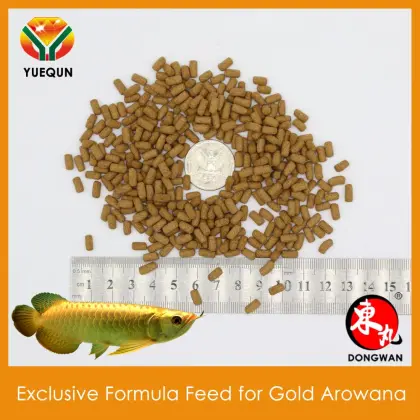 Feed Aquarium Fish Food Compound feed for Gold Arowana