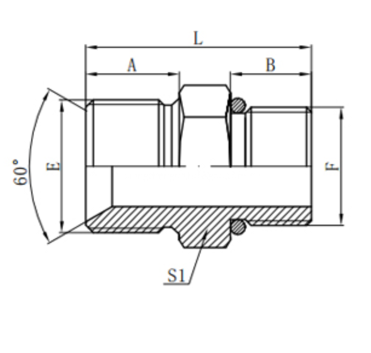 Hydraulic Bsp Fitting