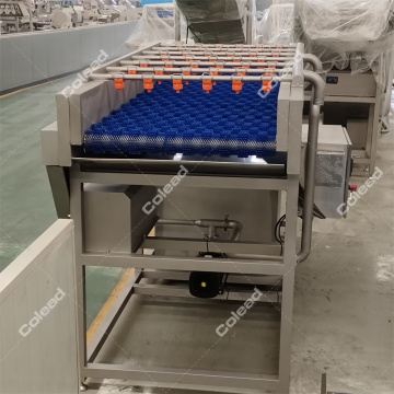 Máquina de limpieza de cepillos para ensaladas para verduras comerciales limpias