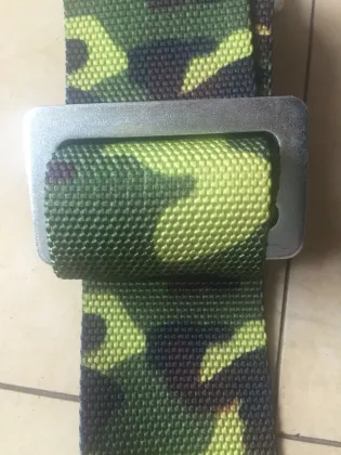 2 inch retractable Safety Seat Belt