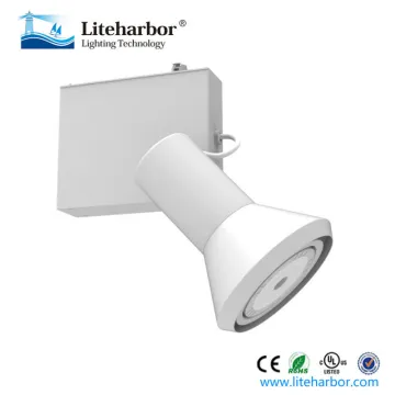 HID 100W max Metal Halide Track Head with 120V