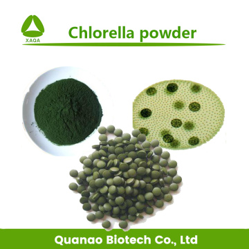 Chlorella Protein Powder 90% Sports Nutrition