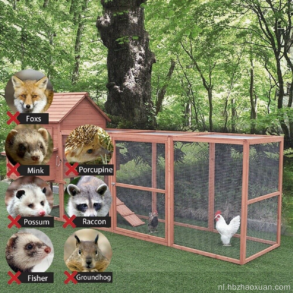 Populair ontwerp kippen gevogelte hek netten