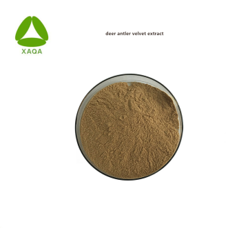 Raw Material Deer Antler Velvet Extract 10:1 Powder