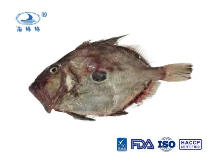 Zhoushan Moon Fish Frozen Seafood