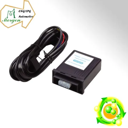Time advance processor for Auto gas system