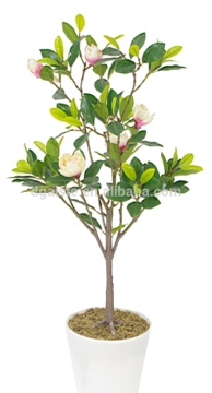 indoor Home garden decorative 250cm Height make artificial green live magnolia bonsai tree EXLYPZ06 0509