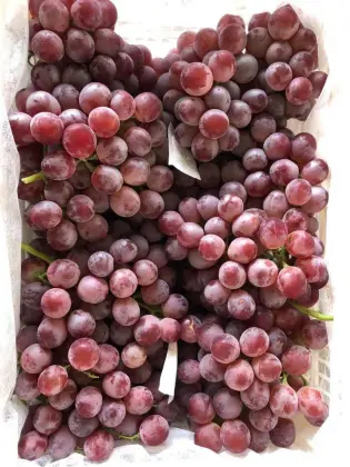 Yun Nan High Quality Red Grape