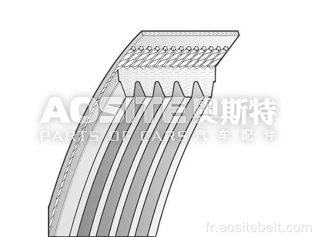 Ceinture en V-ribbed pour Chevrolet Cruze à hayon