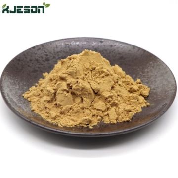 XJeson Hawthorn Extract Hawthorn 5%-30% Flavonoids