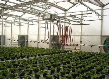 Greenhouse Equipment Irrigation system