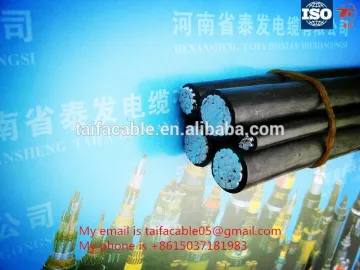 Hot sale Aluminum Conductor BS Standard /Brazil Standard Duplex Triplex Quadruplex 2AWG 4AWG 6AWG Size Overhead XLPE Cable