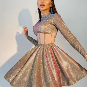 Long Sleeve Metallic Mini Dress With Bone Insert