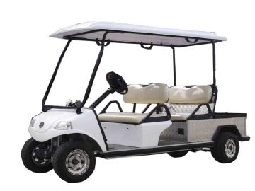 Electric Utility Car/Cart/Buggy, Sightseeing/Utility Bus (DEL3042GFB, 4-Seater)