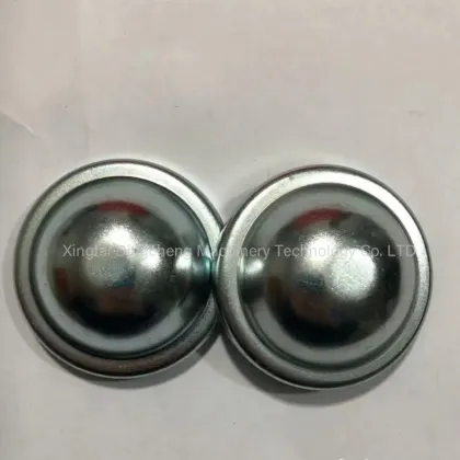 Dexter Alko Trailer Camper RV Axle Hub Dust Cap Grease Cover