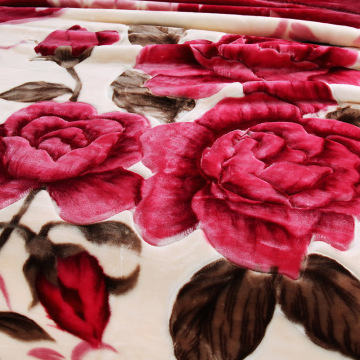 Eco Friendly Microfiber Digital Printing Blanket Fabric for Spring & Autumn