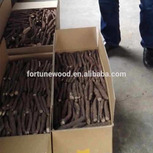 Breeding paulownia root paotong tree root wholesale
