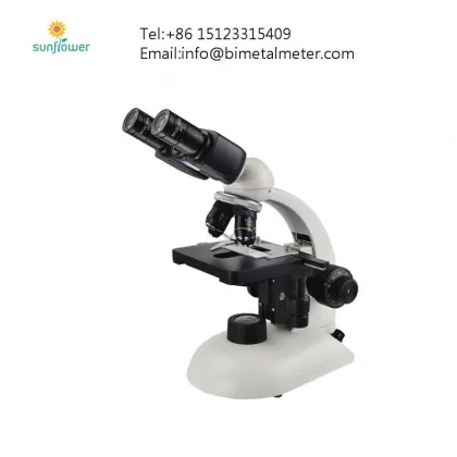 Budget-Friendly Scanning Electron Microscope (SEM) Solutions: Affordable SEM Devices and Technologies