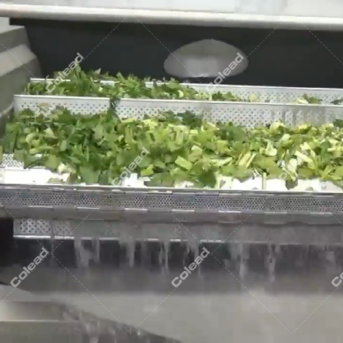 Máquina de branqueamento de vegetais congelados para processamento de salada