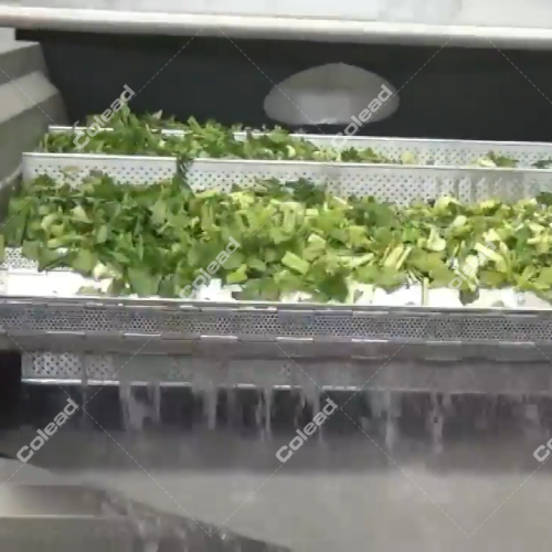 Frozen Vegetables Blanching Machine for salad processing