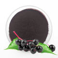 Black Elderberry Extract 5% 15% Anthocyanins