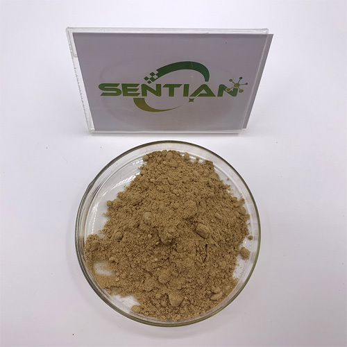 High-Purity Chymosin Enzyme Powder for Dairy Applications
