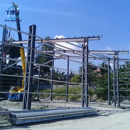 Latest Stylish Painting Light Steel House Design