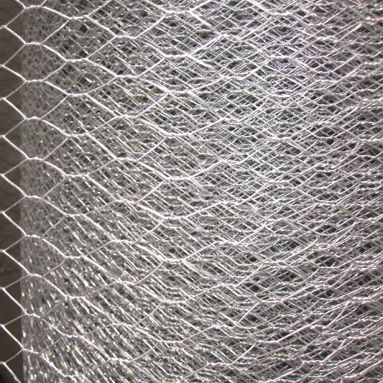 1'' Galvanized Hexagonal Chicken Wire Mesh