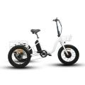 48V500W 20'' Step-Through Fat Tire Folding Electric Tricycle