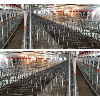 Hot Dip Galvanized Pig Gestation Stalls for Hog Farms
