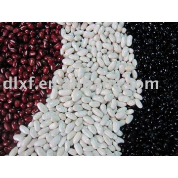 all kidney beans 2010 crop