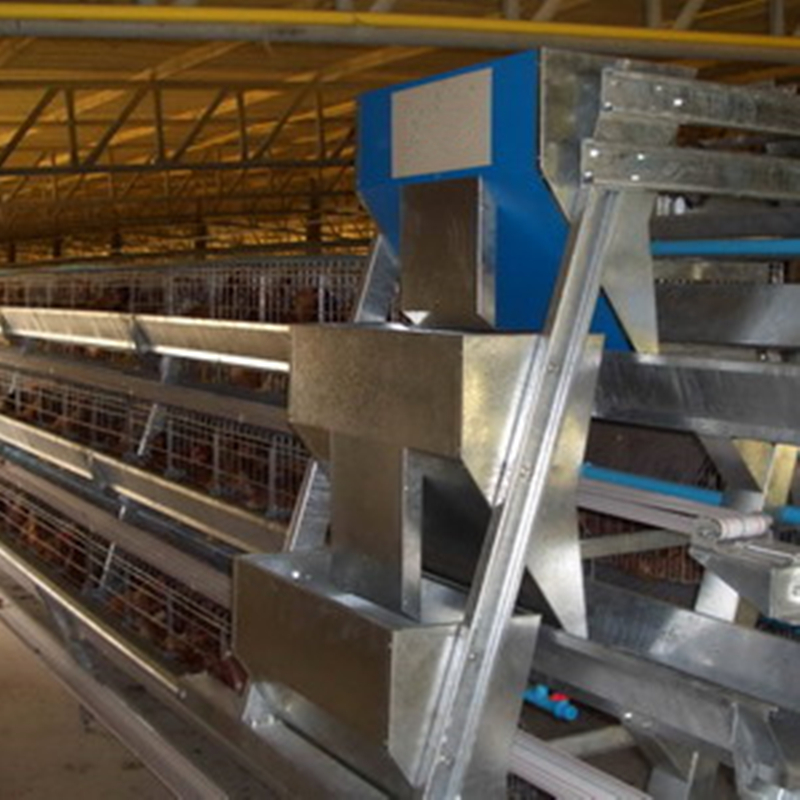 A Type Layer Cage System