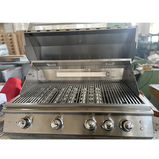 Outdoor Portable Natural Gas Bbq Grills Camping Desktop Stainless Steel Built In Gas Grill