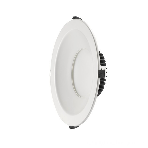 10 inch downlight single