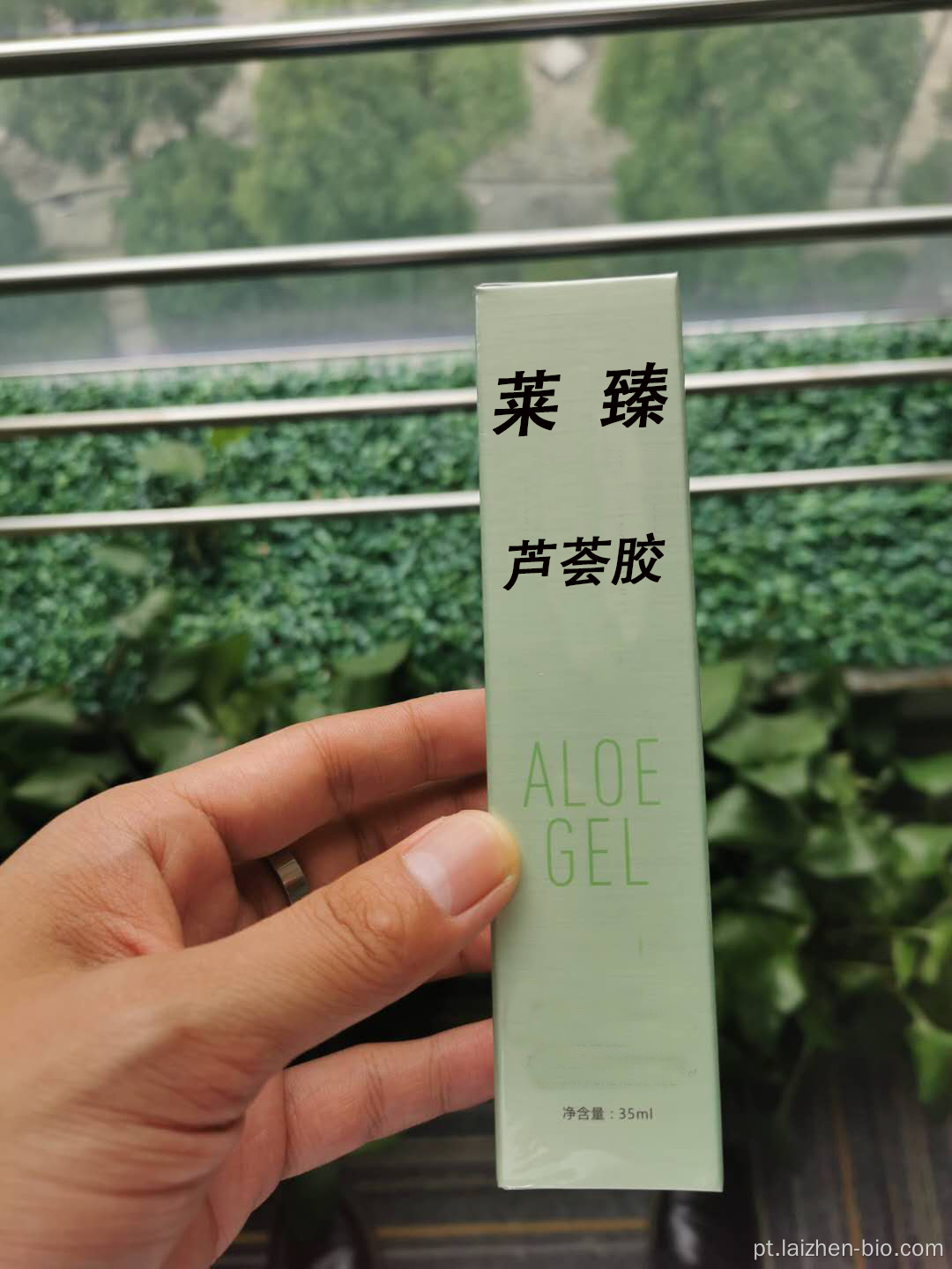 Gel de aloe vera barato de atacado da natureza