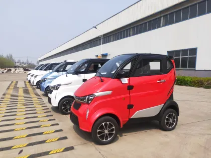 4 Wheels 2 Seats Electric Racing Car for Teenagers