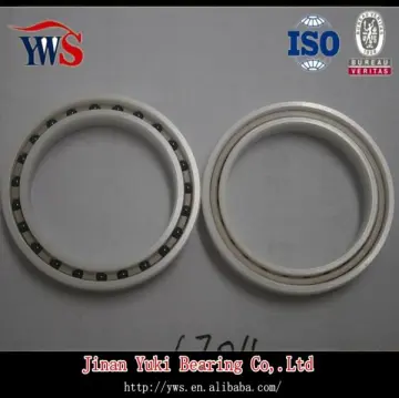 6704 Ceramic Deep Groove Ball Bearing