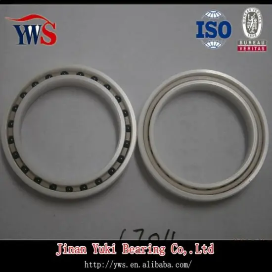 6704 Ceramic Deep Groove Ball Bearing